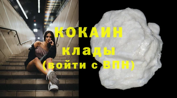 ГАЛЛЮЦИНОГЕННЫЕ ГРИБЫ Кукмор
