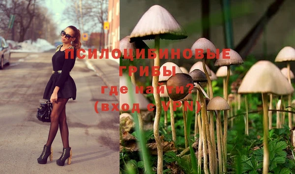 дурь Кулебаки