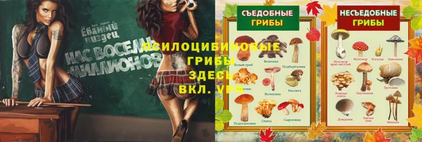 дурь Кулебаки