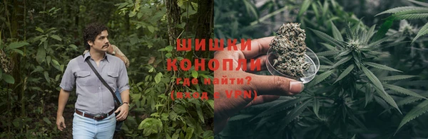 ГАЛЛЮЦИНОГЕННЫЕ ГРИБЫ Кукмор