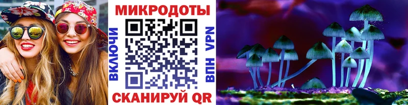 где найти   Лахденпохья  Псилоцибиновые грибы мицелий 